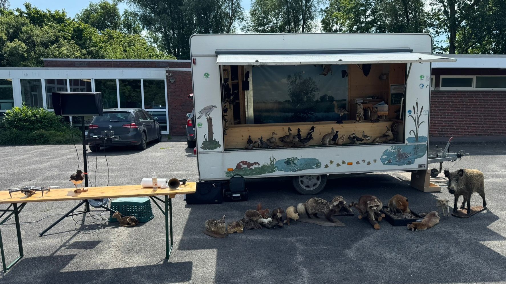 Infomobil mit Wildtierpräparaten